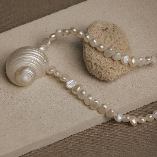 Gold Ronja Shell & Pearl Necklace